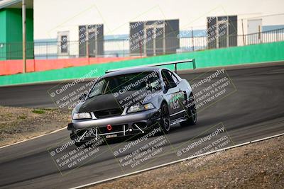 media/Feb-25-2024-Speed Ventures (Sun) [[b9a2a97a4d]]/Mustang Drivers Club/Session 1 (Turns 4 and 5)/